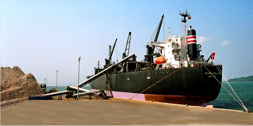 Quy Nhon port handles six million tonnes of commodities